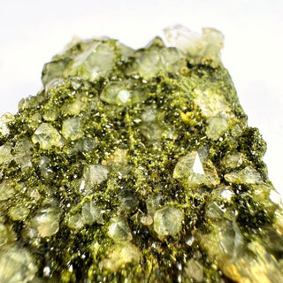 Detail view of Epidote on Quartz Cluster - Piece / The Cliff Crystal - Show Piece at Mind's Eye Mystics